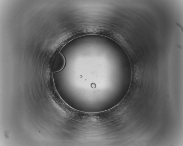 X0000102820683200808181246