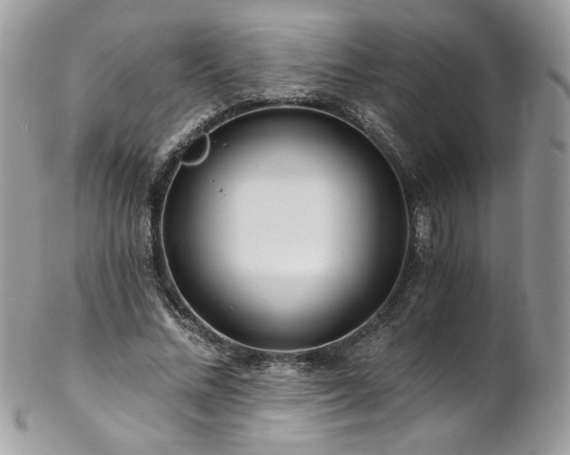 X0000102820684200808181246