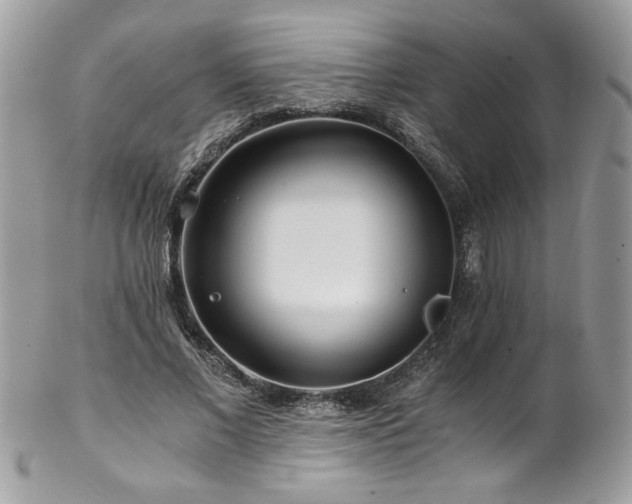 X0000102820685200808181246