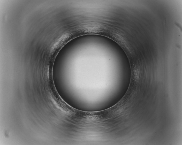 X0000102820686200808181246