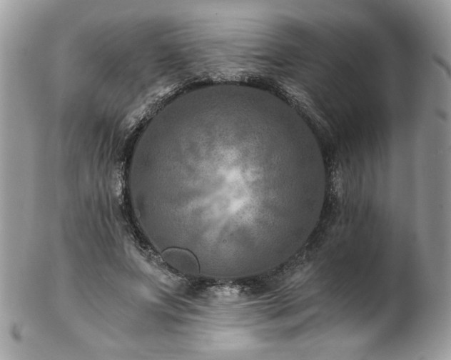 X0000102820687200808181246