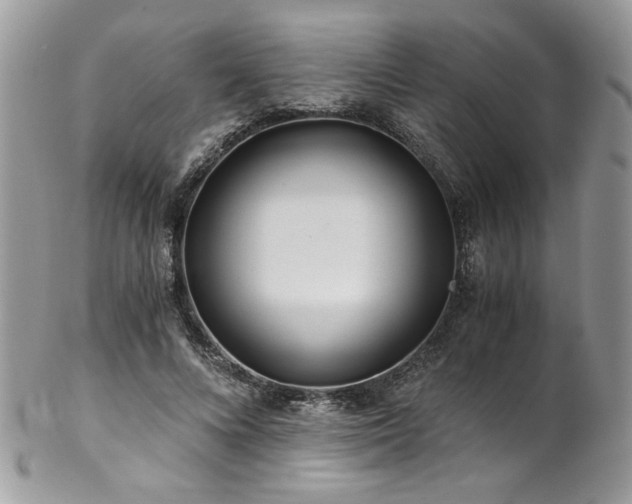 X0000102820688200808181246