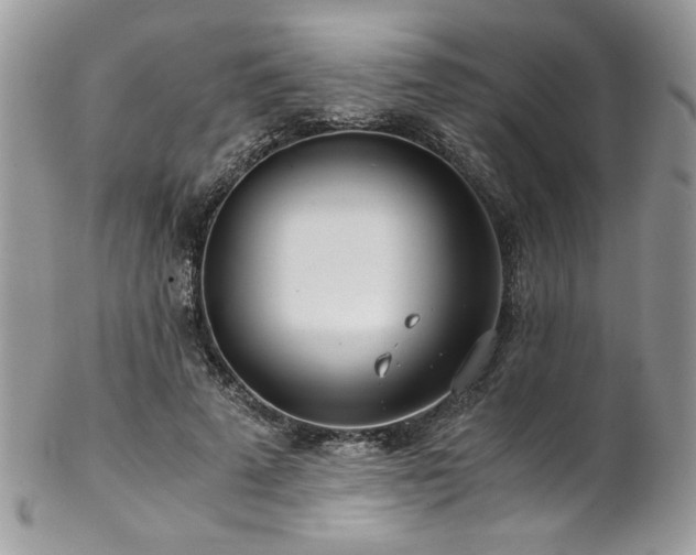 X0000102820689200808181246