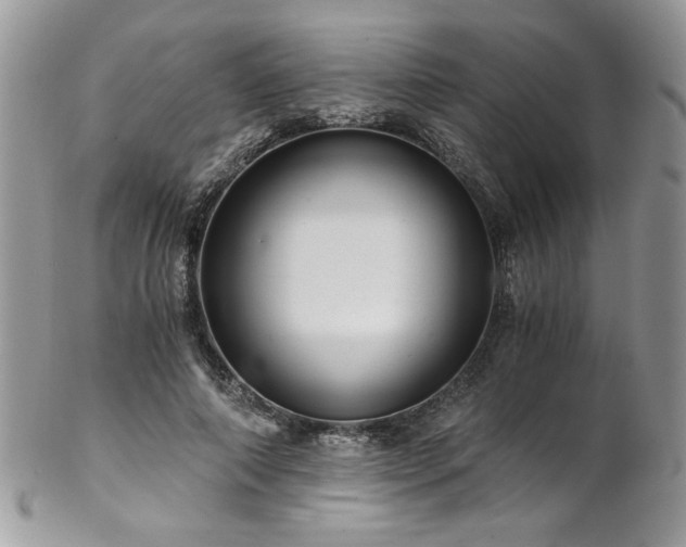 X0000102820690200808181246