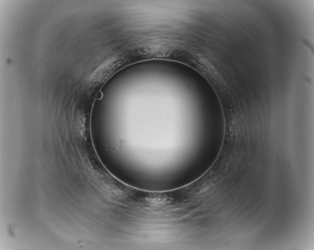 X0000102820693200808181246