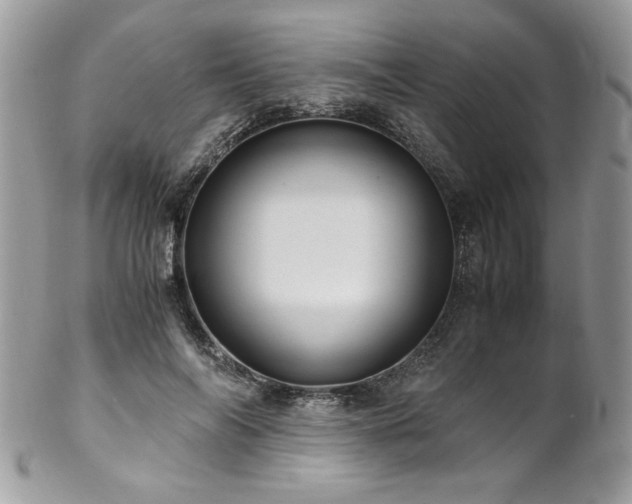 X0000102820694200808181246