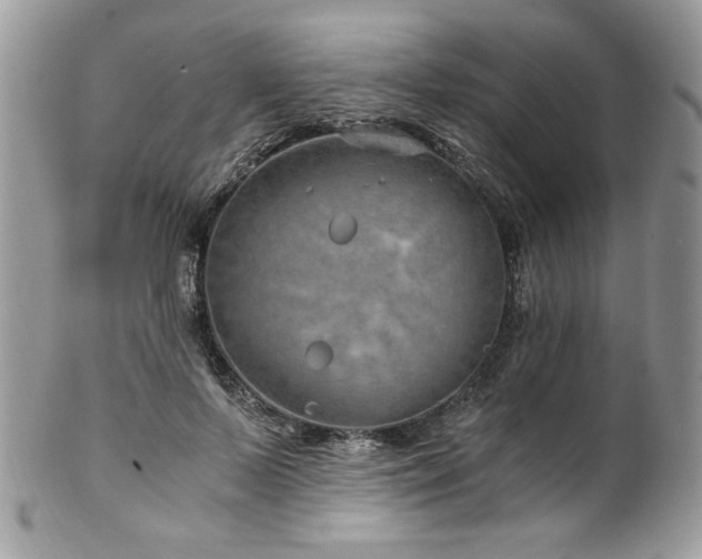 X0000102820695200808181246