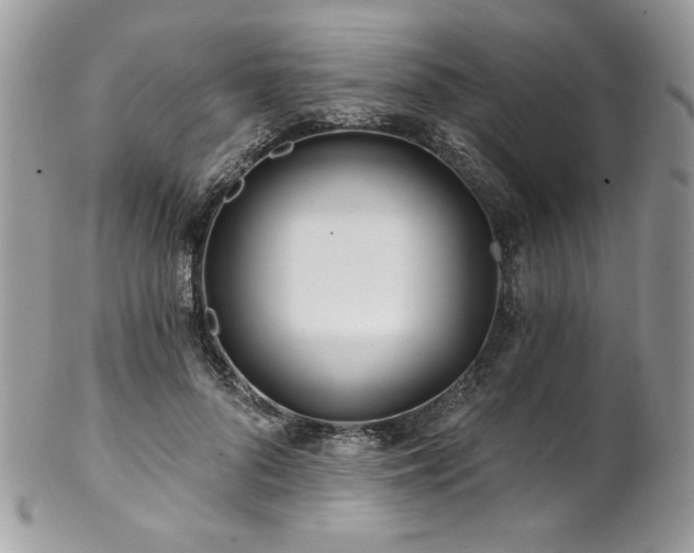 X0000102820696200808181246