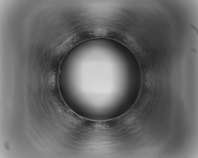 X0000102820697200808181246