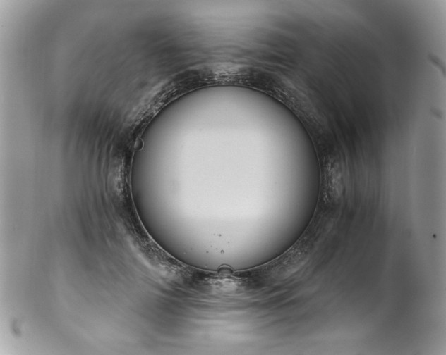 X0000102820698200808181246