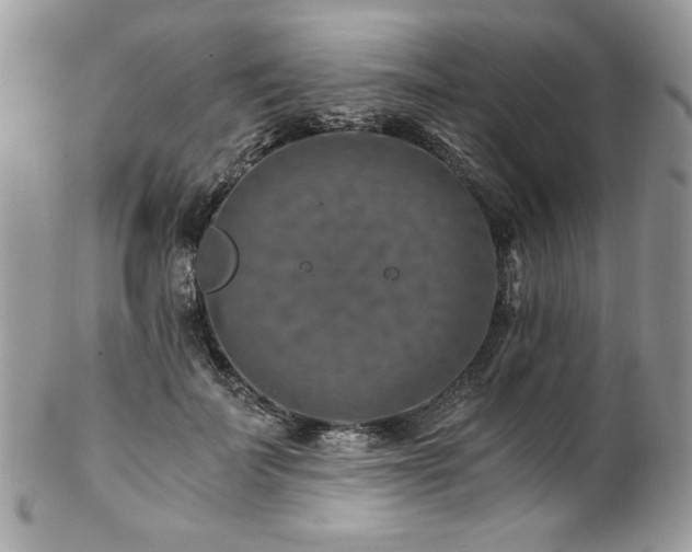 X0000102820699200808181246