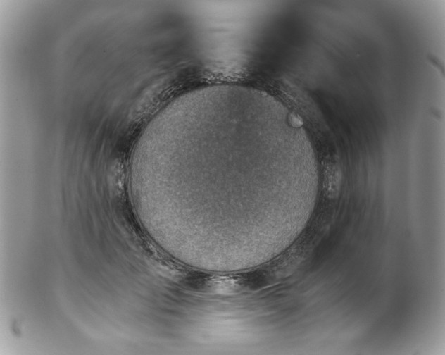 X0000102820701200808181246