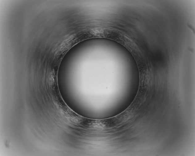 X0000102820702200808181246