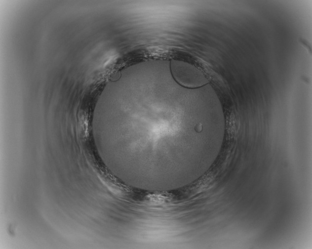 X0000102820703200808181246