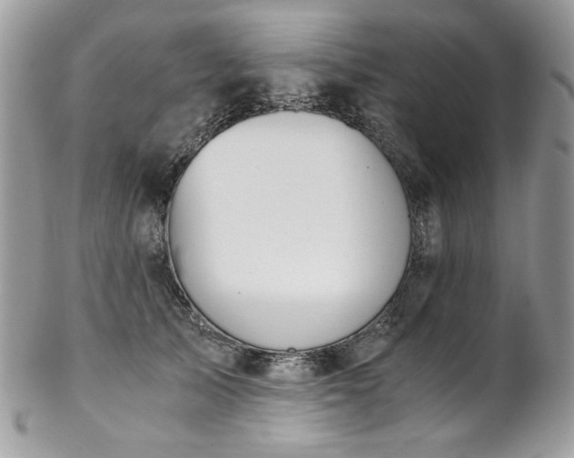 X0000102820705200808181246