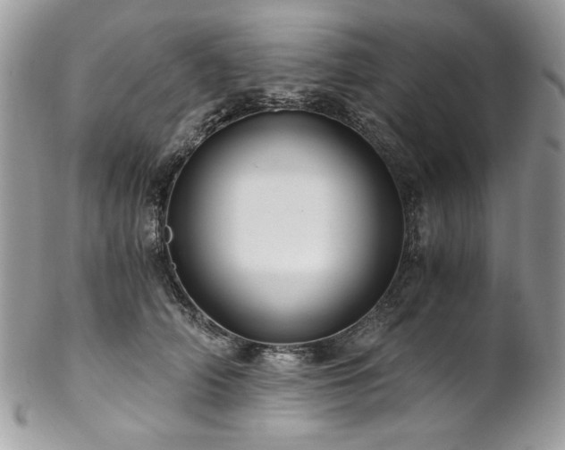 X0000102820706200808181246