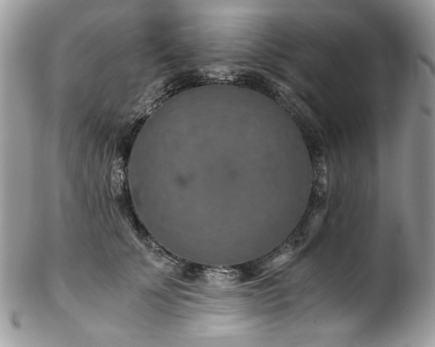 X0000102820707200808181246