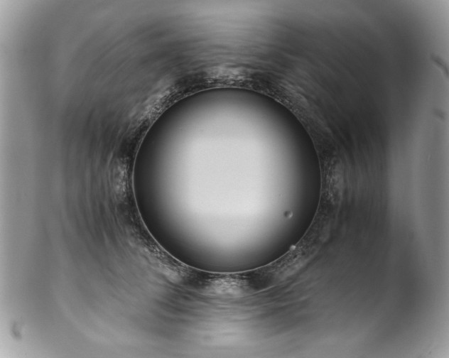 X0000102820708200808181246