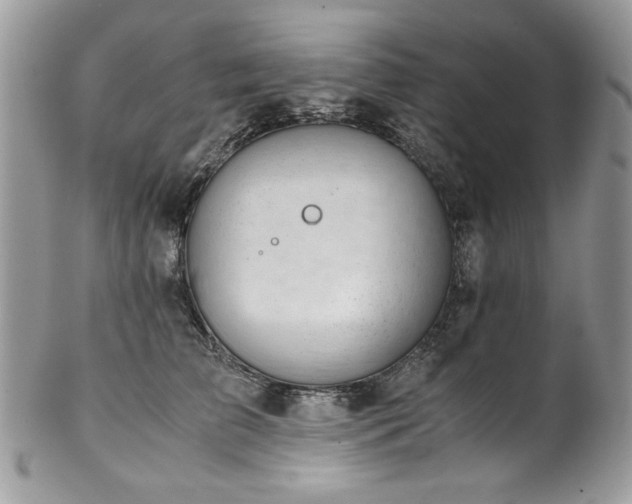 X0000102820709200808181246