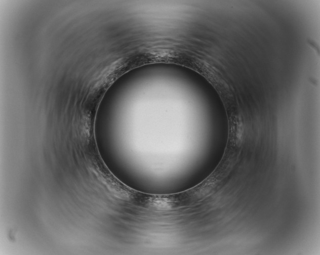X0000102820710200808181246