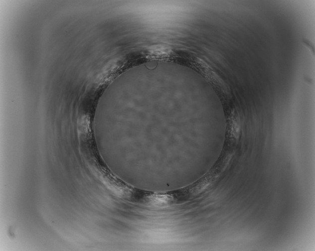 X0000102820711200808181246