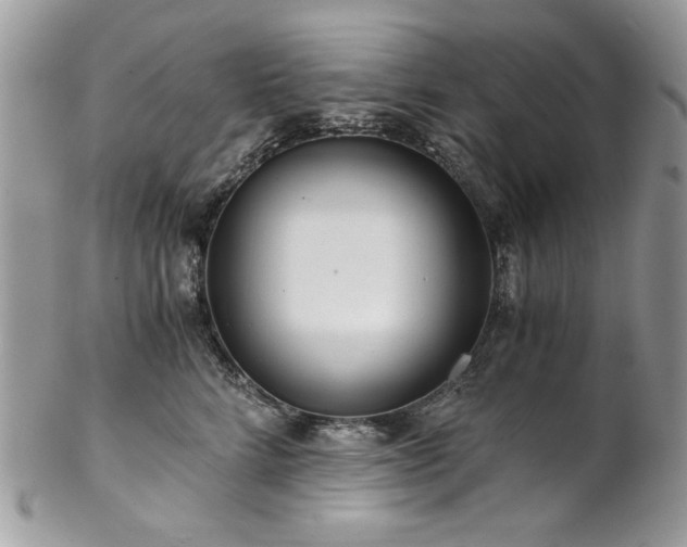 X0000102820712200808181246