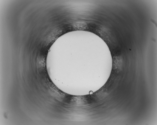 X0000102820713200808181246