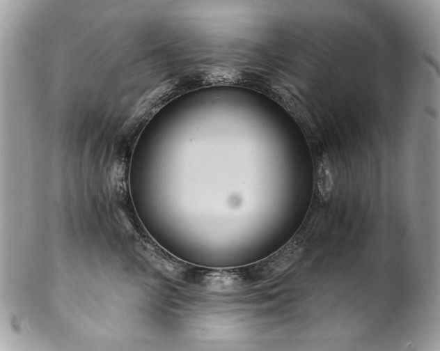 X0000102820714200808181246