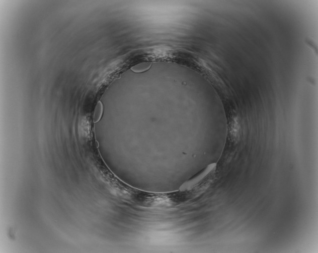 X0000102820715200808181246