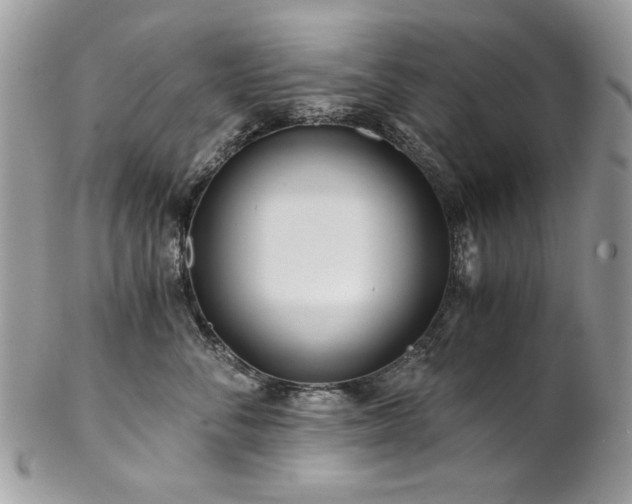 X0000102820716200808181246