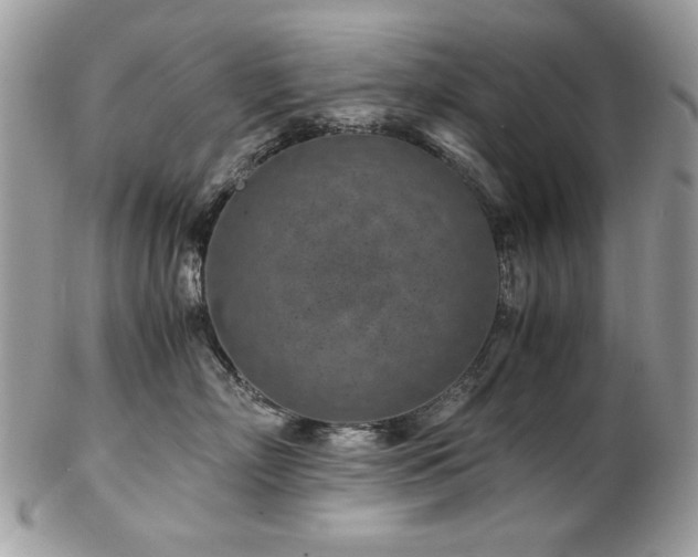 X0000102820718200808181246