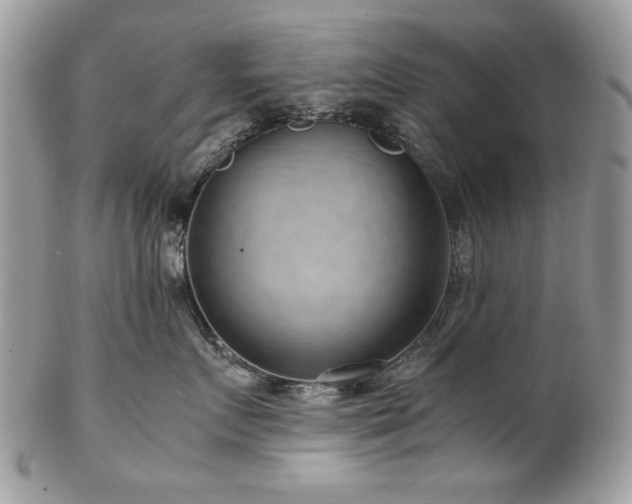 X0000102820719200808181246