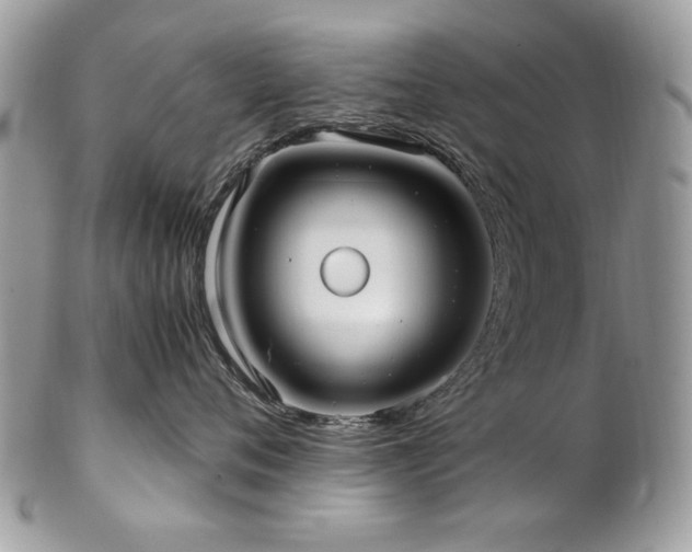 X0000102820720200808181246