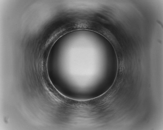 X0000102820722200808181245