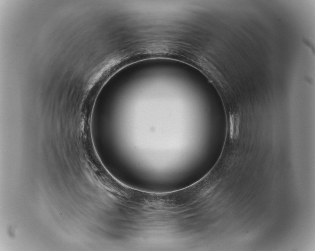 X0000102820723200808181245