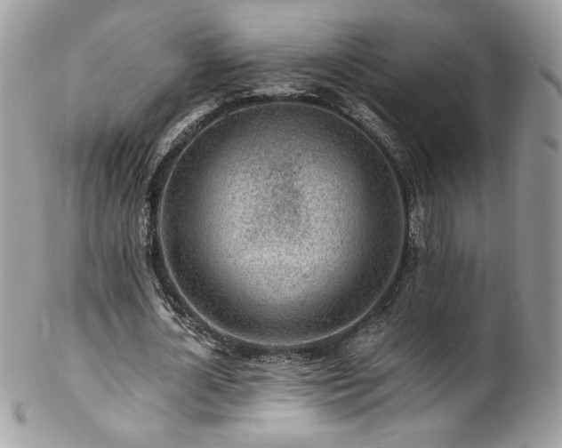 X0000102820724200808181245