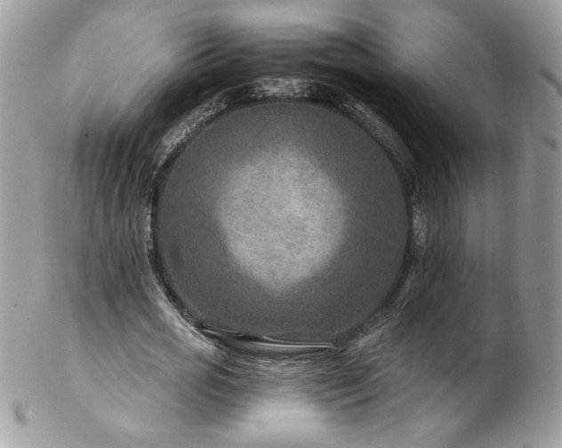 X0000102820725200808181245