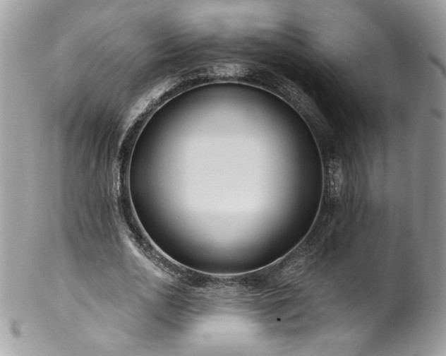 X0000102820726200808181245
