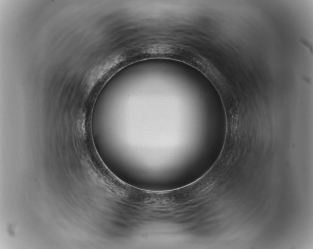 X0000102820727200808181245