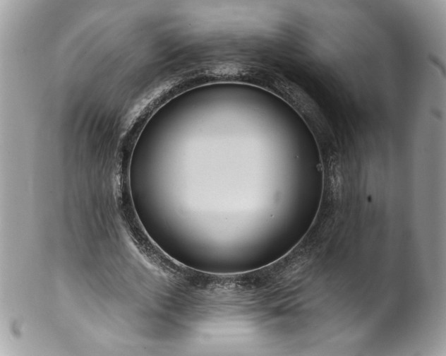 X0000102820728200808181245