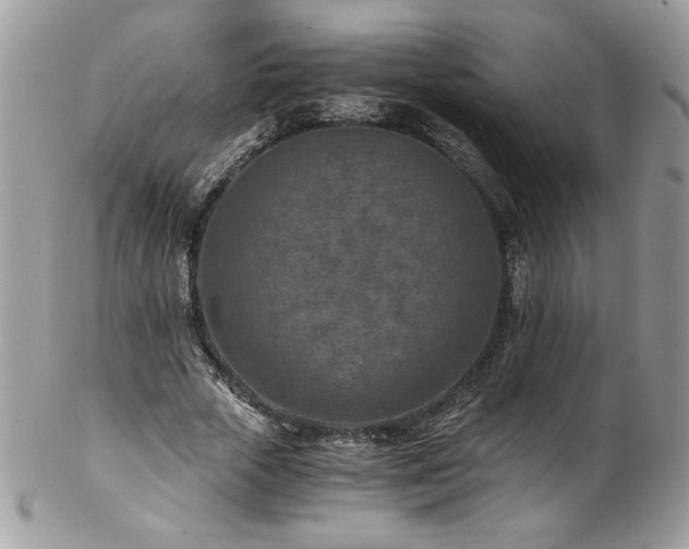 X0000102820729200808181245