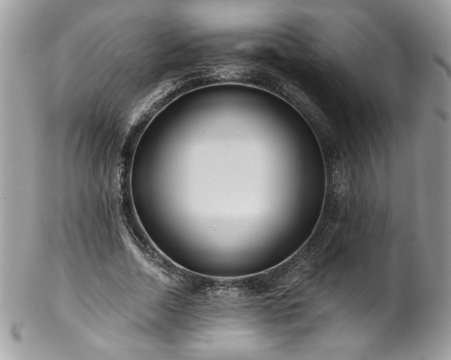 X0000102820730200808181245
