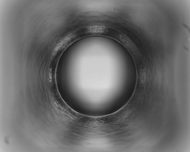 X0000102820731200808181245