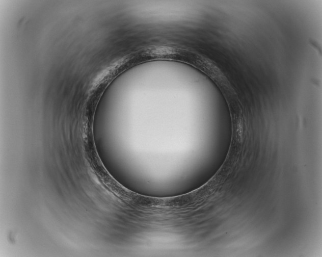 X0000102820732200808181245