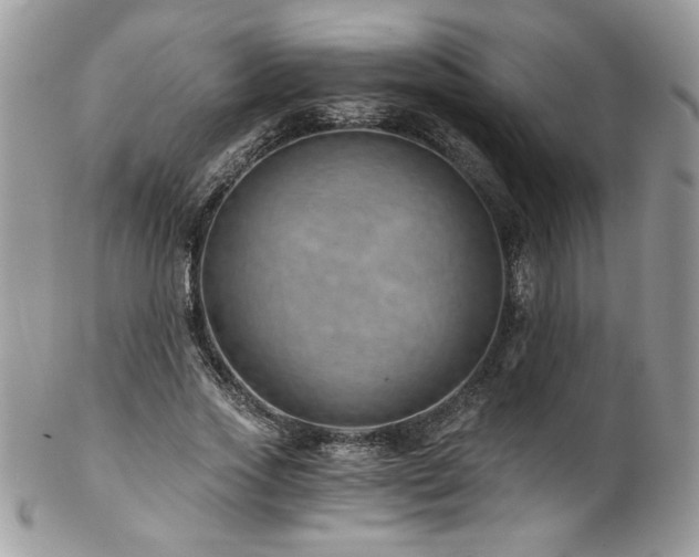 X0000102820733200808181245