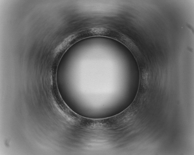 X0000102820734200808181245