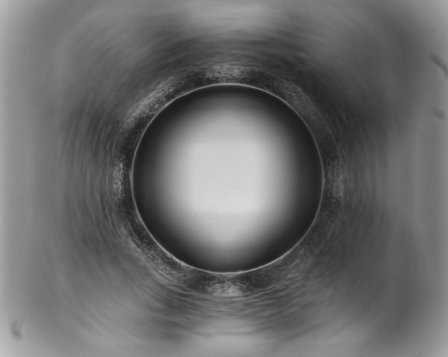X0000102820735200808181245