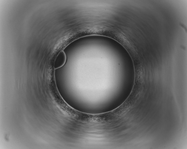 X0000102820736200808181245