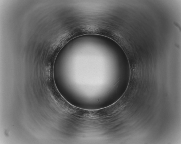 X0000102820739200808181245