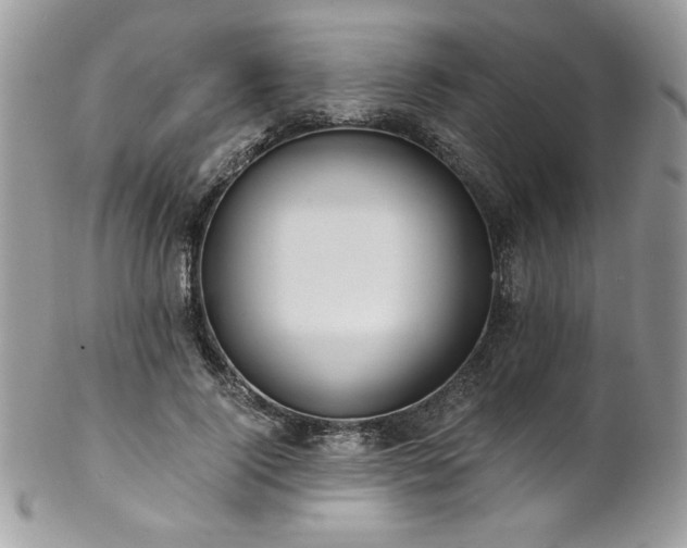 X0000102820740200808181245